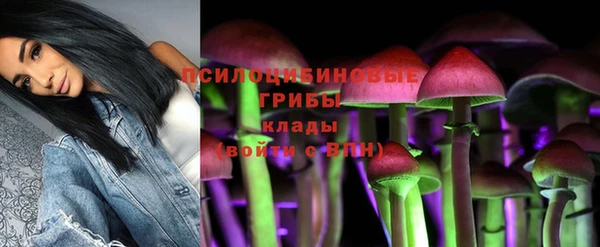 ALPHA PVP Баксан