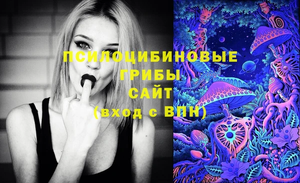 экстази Белокуриха